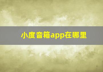 小度音箱app在哪里