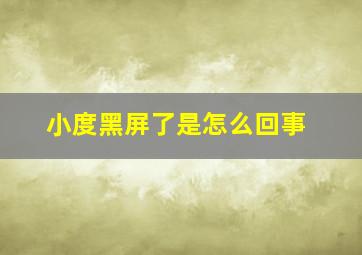 小度黑屏了是怎么回事