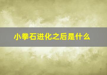 小拳石进化之后是什么