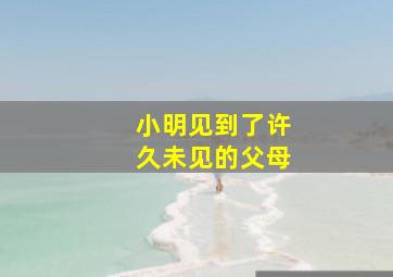 小明见到了许久未见的父母