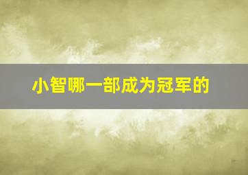 小智哪一部成为冠军的