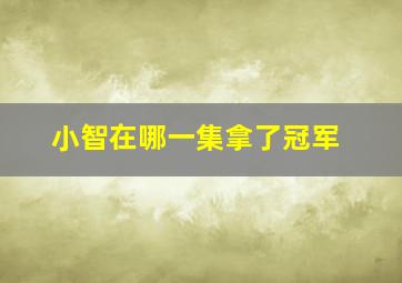 小智在哪一集拿了冠军