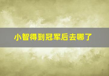 小智得到冠军后去哪了