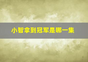 小智拿到冠军是哪一集