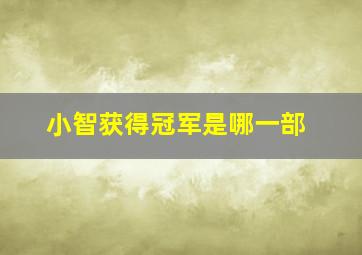 小智获得冠军是哪一部