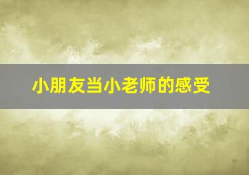 小朋友当小老师的感受