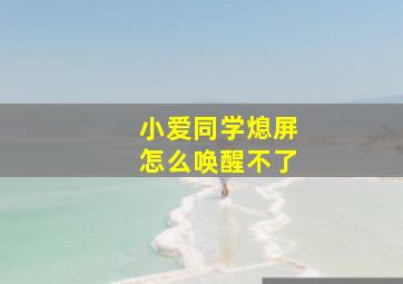 小爱同学熄屏怎么唤醒不了