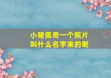 小猪佩奇一个照片叫什么名字来的呢