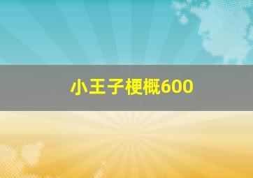 小王子梗概600