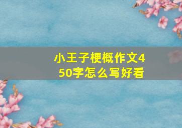 小王子梗概作文450字怎么写好看