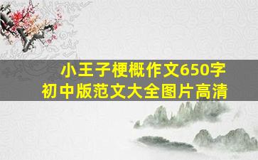 小王子梗概作文650字初中版范文大全图片高清