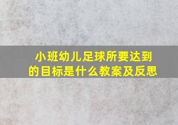 小班幼儿足球所要达到的目标是什么教案及反思