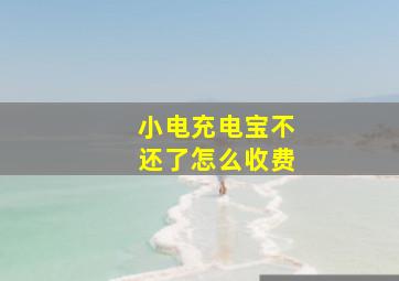 小电充电宝不还了怎么收费