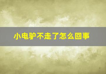 小电驴不走了怎么回事