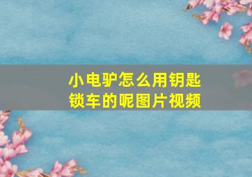 小电驴怎么用钥匙锁车的呢图片视频