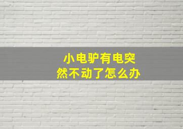 小电驴有电突然不动了怎么办