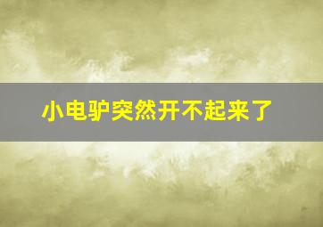 小电驴突然开不起来了