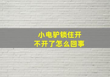 小电驴锁住开不开了怎么回事