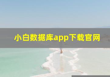 小白数据库app下载官网