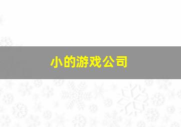 小的游戏公司