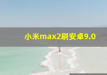 小米max2刷安卓9.0