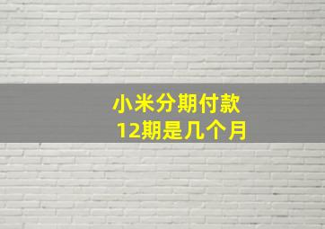 小米分期付款12期是几个月