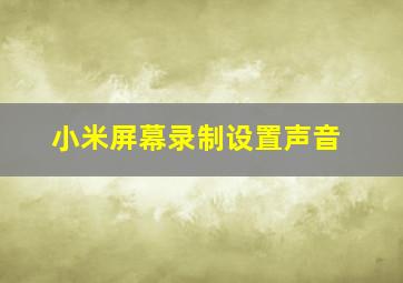 小米屏幕录制设置声音