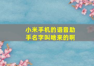 小米手机的语音助手名字叫啥来的啊