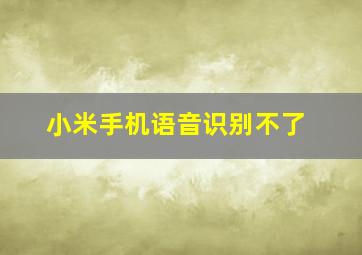 小米手机语音识别不了