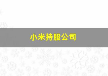 小米持股公司