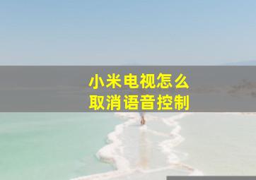 小米电视怎么取消语音控制