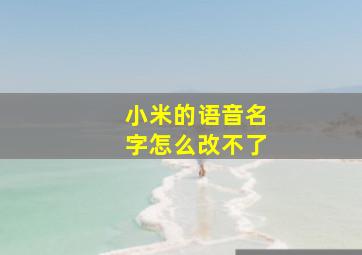 小米的语音名字怎么改不了