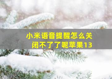 小米语音提醒怎么关闭不了了呢苹果13