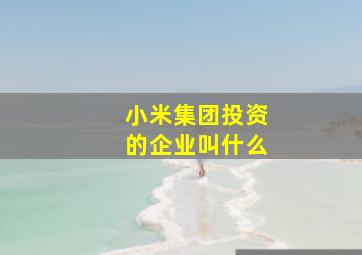 小米集团投资的企业叫什么