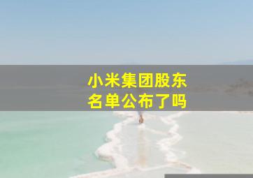 小米集团股东名单公布了吗