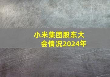 小米集团股东大会情况2024年