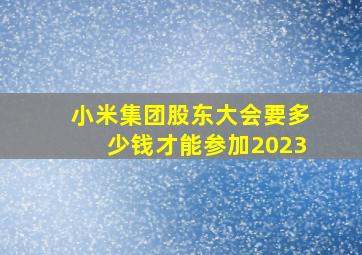 小米集团股东大会要多少钱才能参加2023