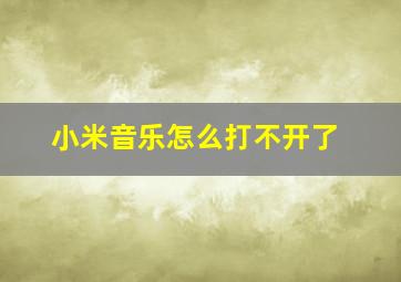 小米音乐怎么打不开了