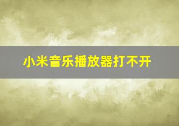 小米音乐播放器打不开