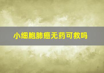 小细胞肺癌无药可救吗