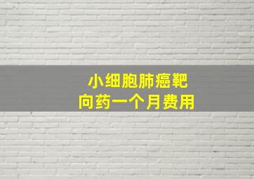 小细胞肺癌靶向药一个月费用