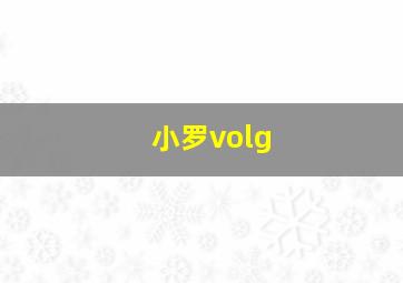 小罗volg