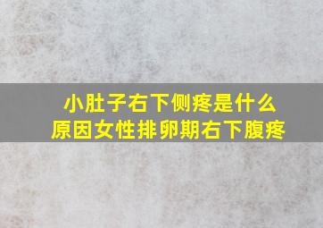 小肚子右下侧疼是什么原因女性排卵期右下腹疼