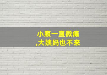 小腹一直微痛,大姨妈也不来