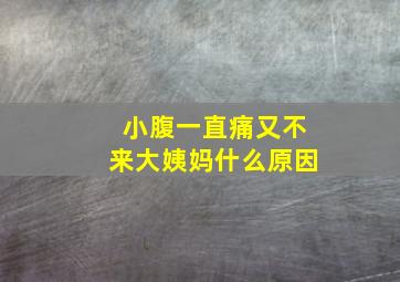 小腹一直痛又不来大姨妈什么原因