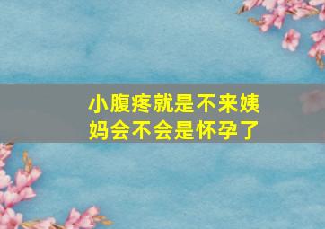 小腹疼就是不来姨妈会不会是怀孕了