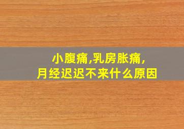 小腹痛,乳房胀痛,月经迟迟不来什么原因