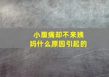 小腹痛却不来姨妈什么原因引起的