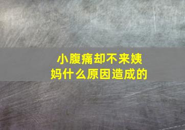 小腹痛却不来姨妈什么原因造成的