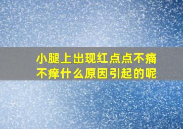 小腿上出现红点点不痛不痒什么原因引起的呢